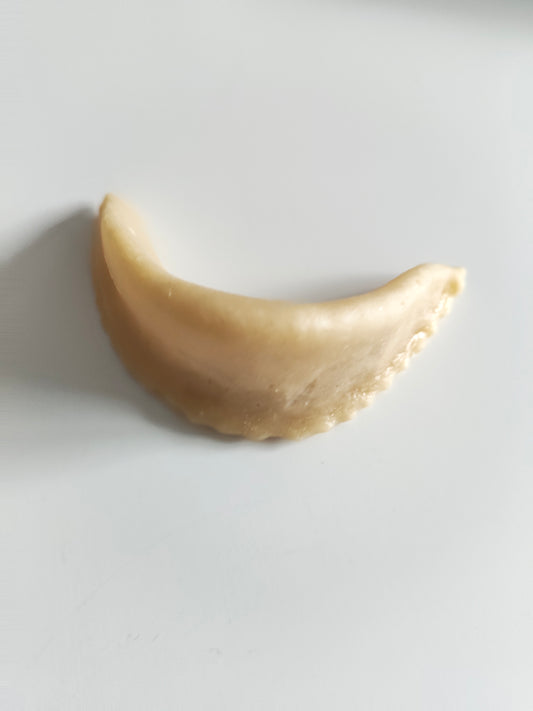 Gazelle Horns